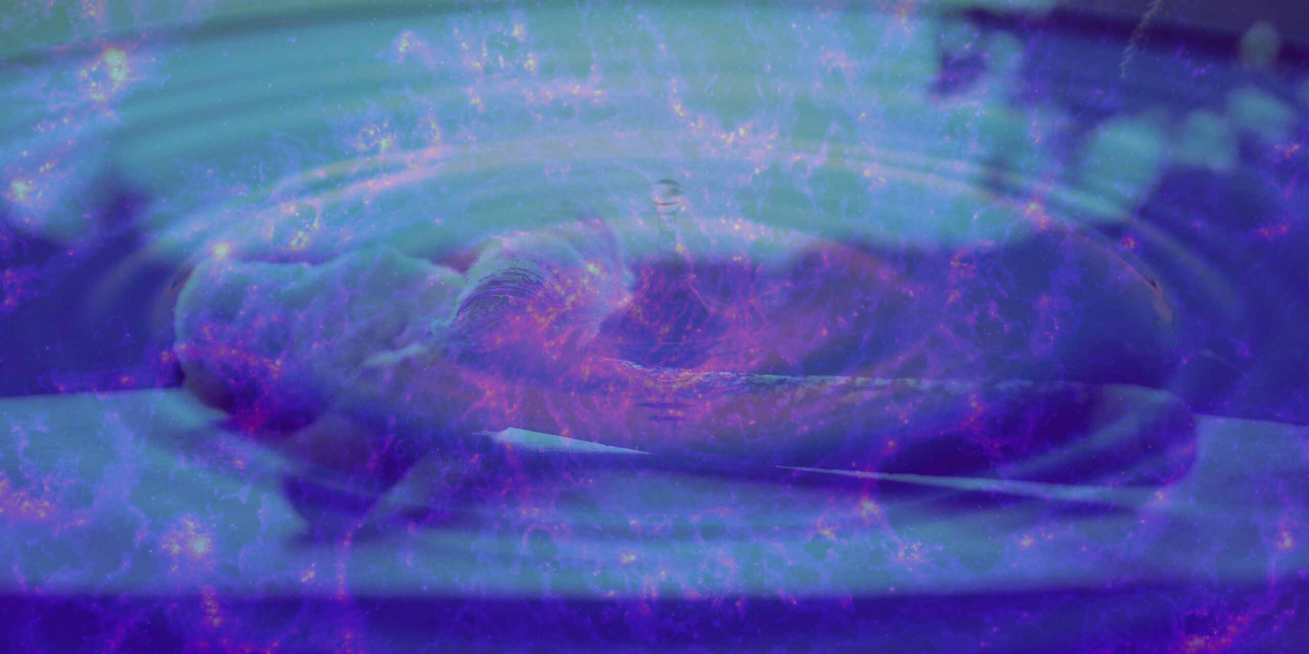 Shamanic Vibration by CK