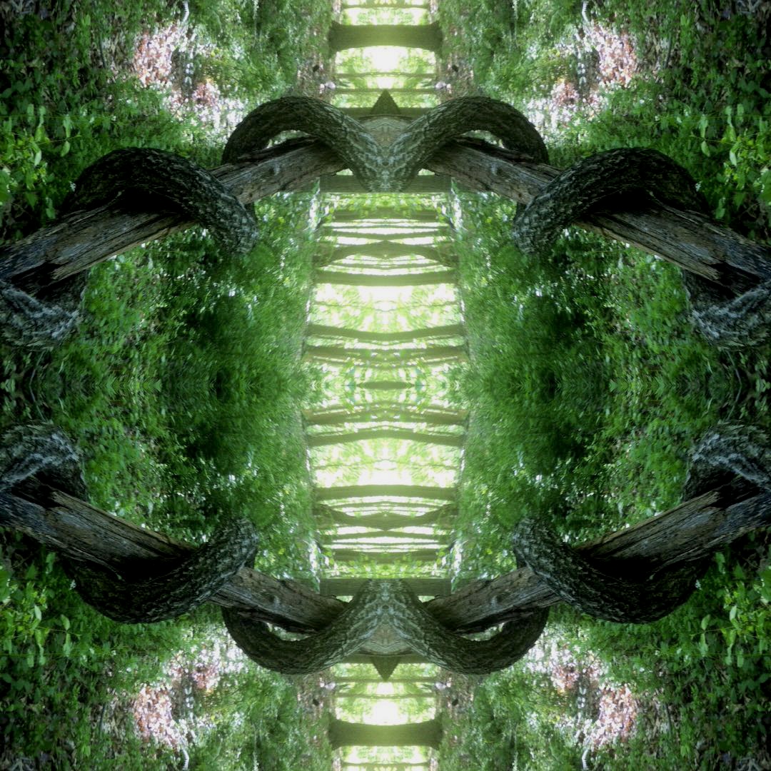 Celtic Knot, digital photography remix by Chris Kaplan